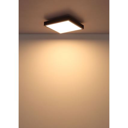 Globo - LED Ceiling light LED/12W/230V 3000K 30x30 cm