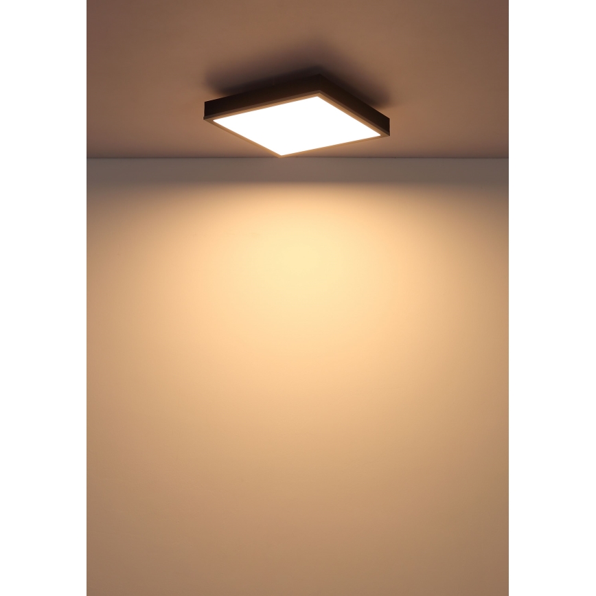 Globo - LED Ceiling light LED/12W/230V 3000K 30x30 cm