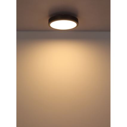 Globo - LED Ceiling light LED/12W/230V 3000K d. 30 cm
