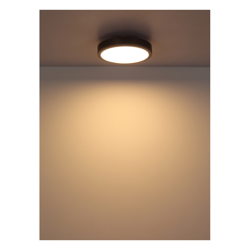 Globo - LED Ceiling light LED/12W/230V 3000K d. 30 cm