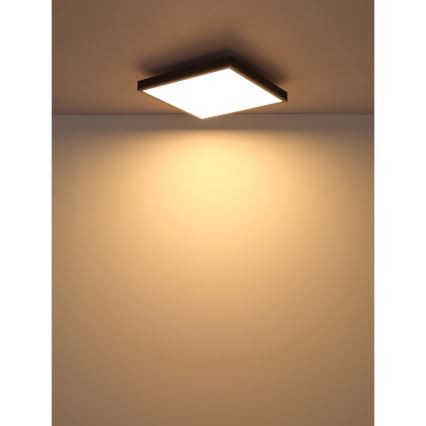 Globo - LED Ceiling light LED/24W/230V 3000K 45x45 cm