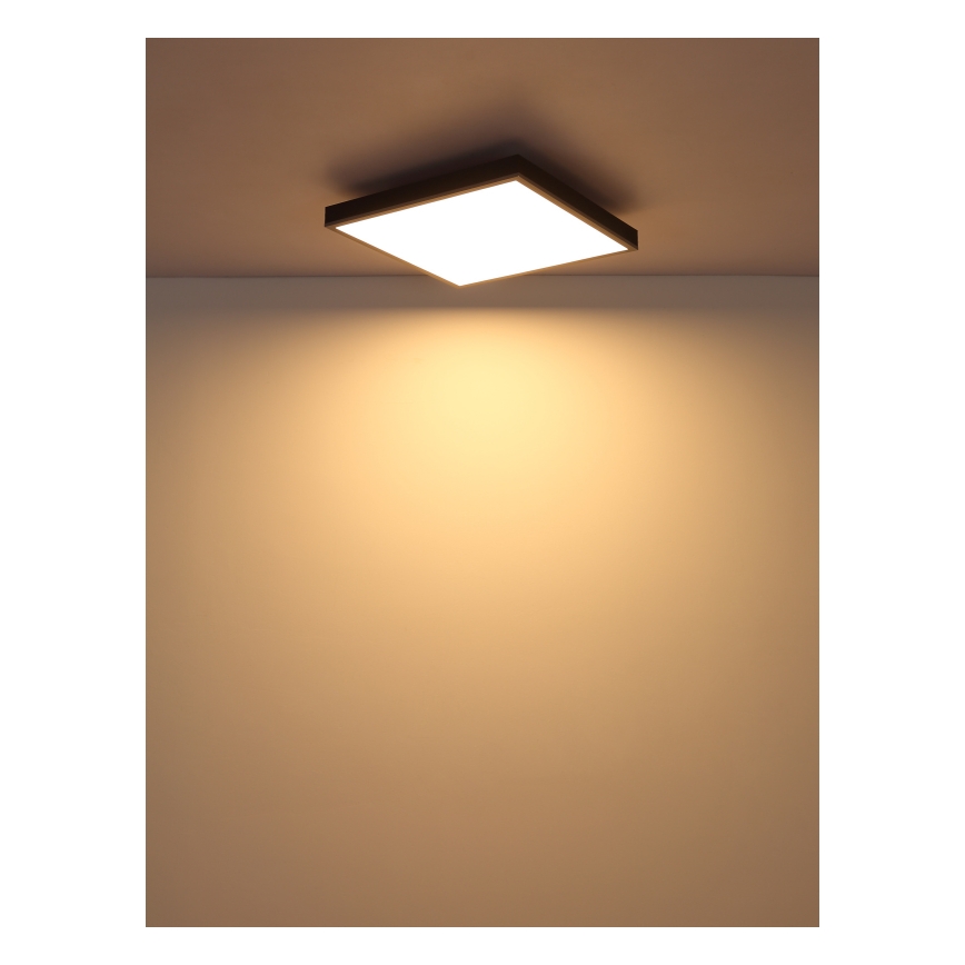 Globo - LED Ceiling light LED/24W/230V 3000K 45x45 cm