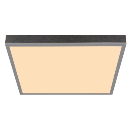 Globo - LED Ceiling light LED/24W/230V 3000K 45x45 cm