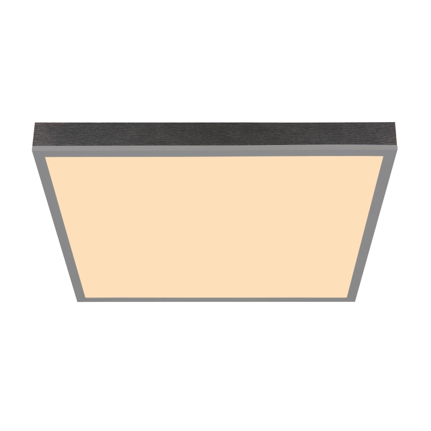 Globo - LED Ceiling light LED/24W/230V 3000K 45x45 cm