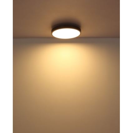 Globo - LED Ceiling light LED/24W/230V 3000K d. 45 cm