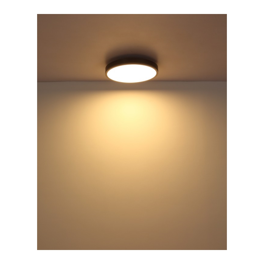 Globo - LED Ceiling light LED/24W/230V 3000K d. 45 cm