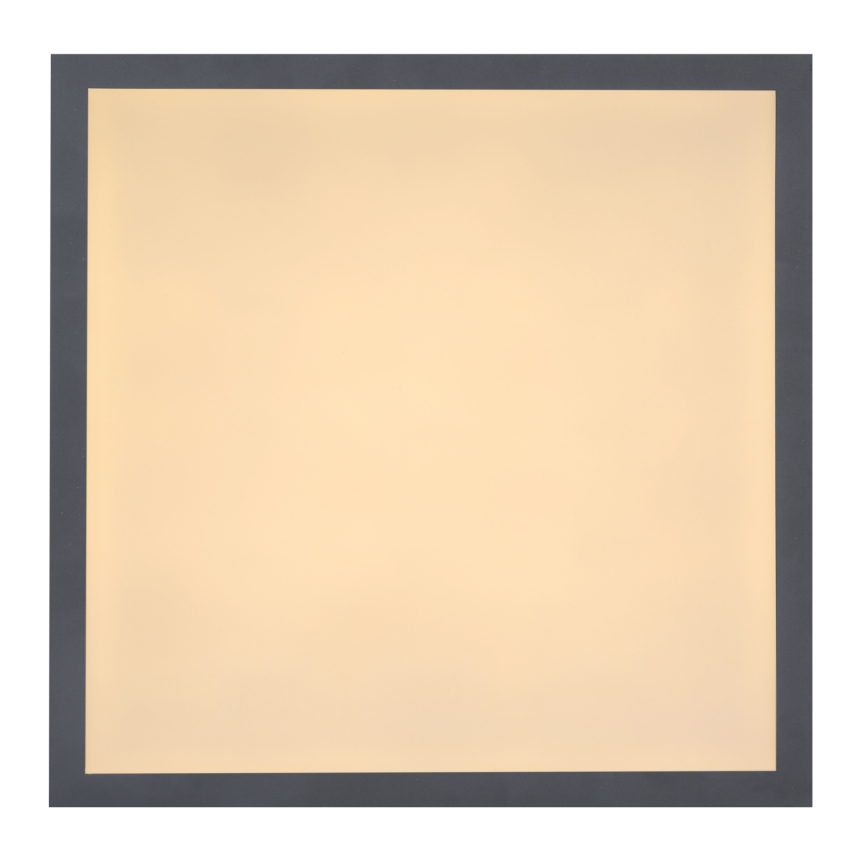 Globo - LED ceiling light LED/12W/230V