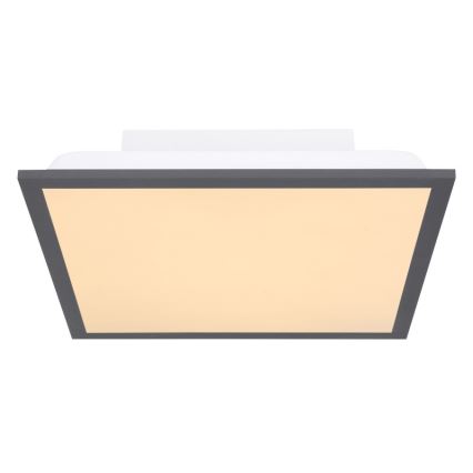 Globo - LED Ceiling light LED/12W + LED/4W/230V