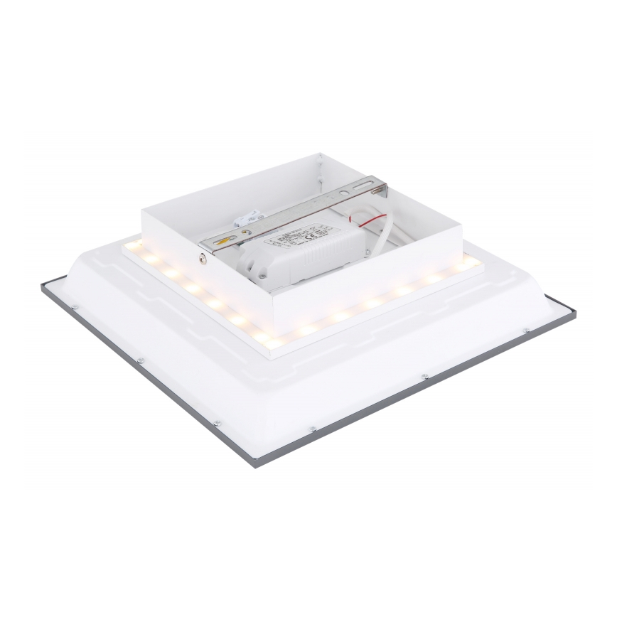 Globo - LED Ceiling light LED/12W + LED/4W/230V