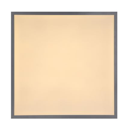 Globo - LED ceiling light LED/24W/230V