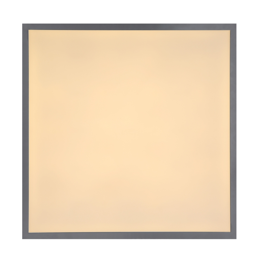 Globo - LED ceiling light LED/24W/230V