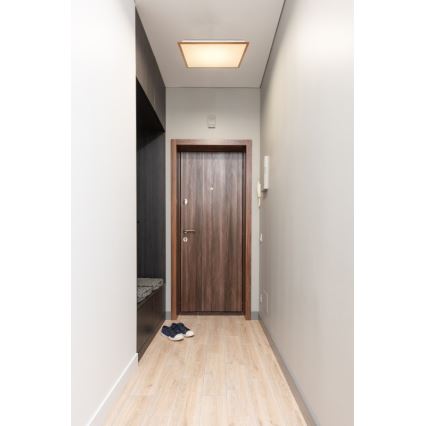 Globo - LED Ceiling light LED/24W/230V