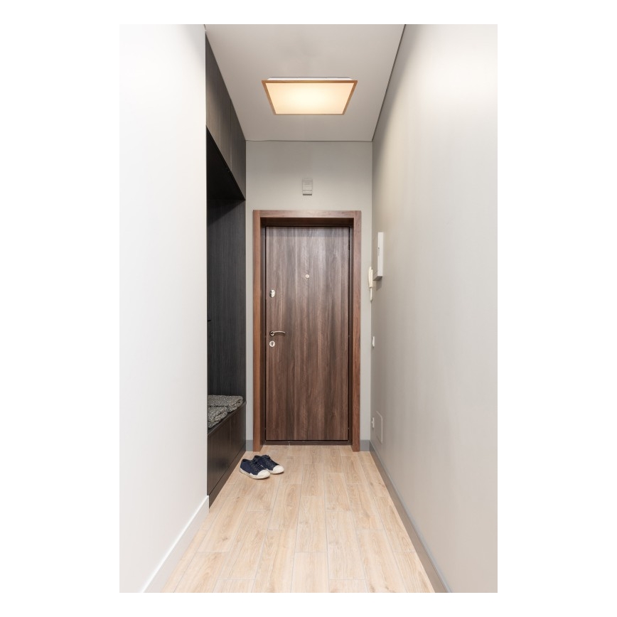 Globo - LED Ceiling light LED/24W/230V