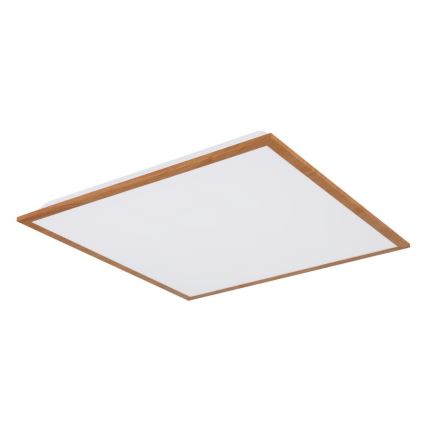 Globo - LED Ceiling light LED/24W/230V