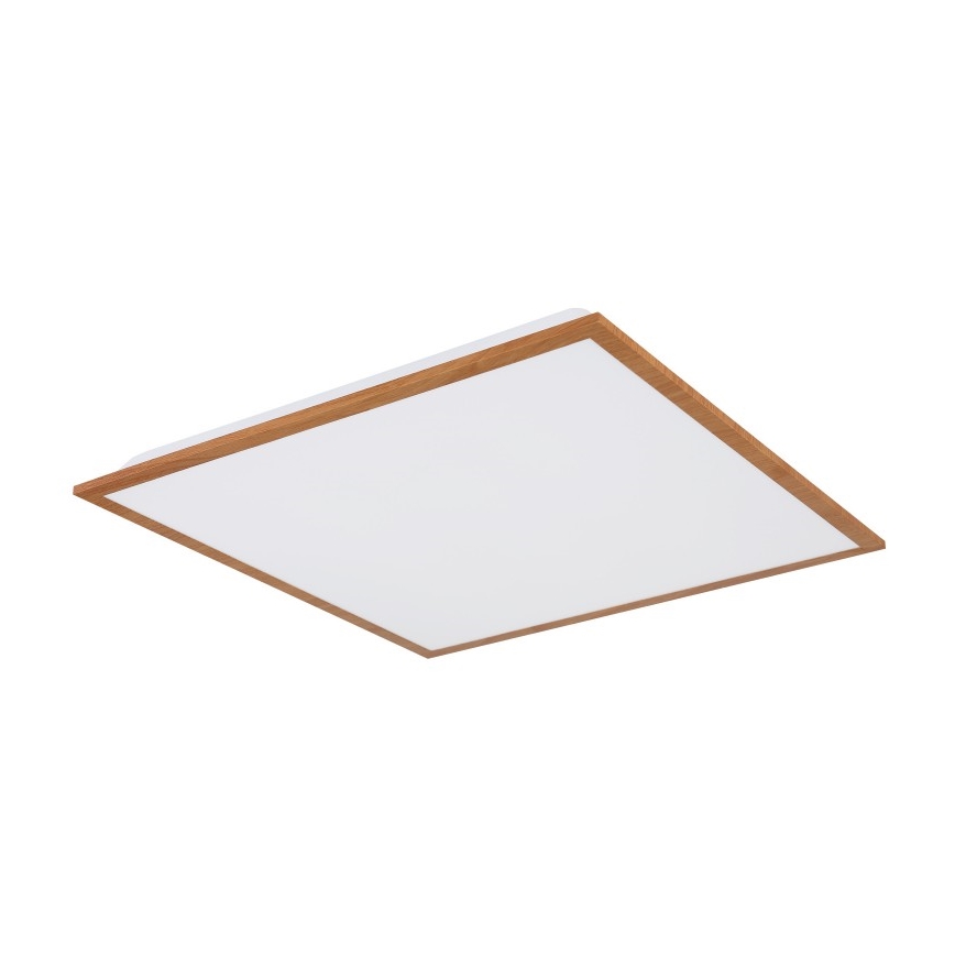 Globo - LED Ceiling light LED/24W/230V