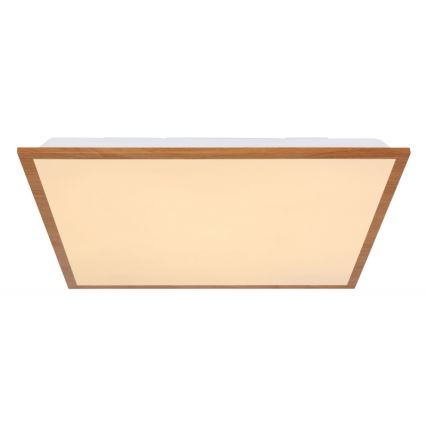 Globo - LED Ceiling light LED/24W/230V