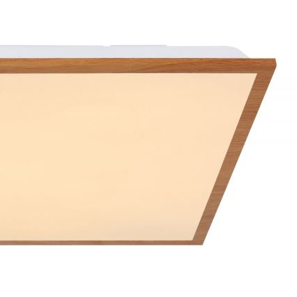 Globo - LED Ceiling light LED/24W/230V