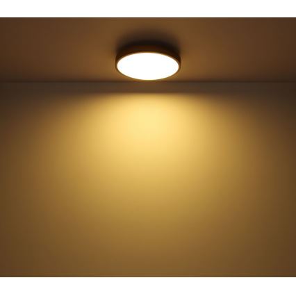 Globo - LED Ceiling light LED/12W/230V d. 30 cm