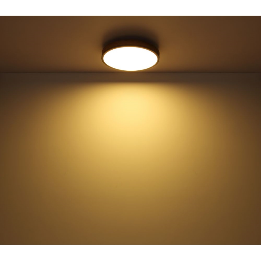 Globo - LED Ceiling light LED/12W/230V d. 30 cm