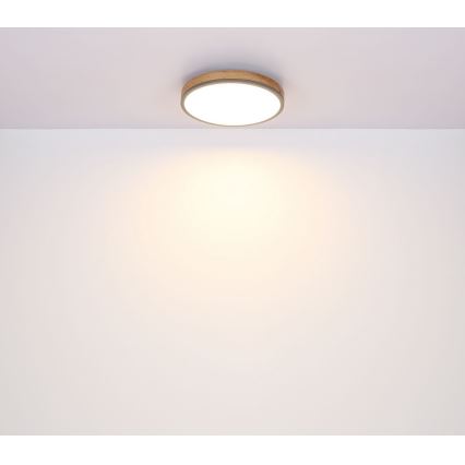 Globo - LED Ceiling light LED/12W/230V d. 30 cm