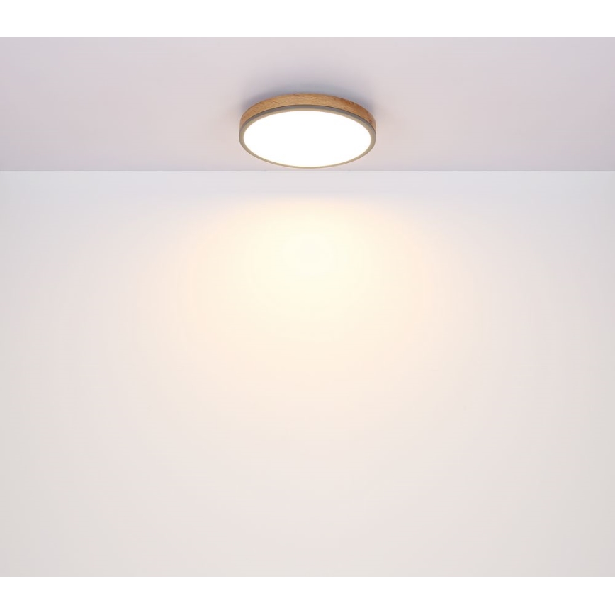 Globo - LED Ceiling light LED/12W/230V d. 30 cm