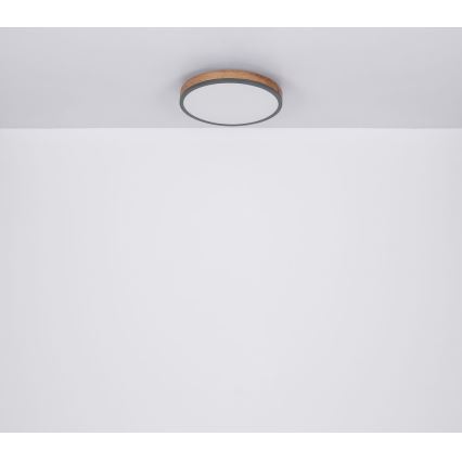 Globo - LED Ceiling light LED/12W/230V d. 30 cm