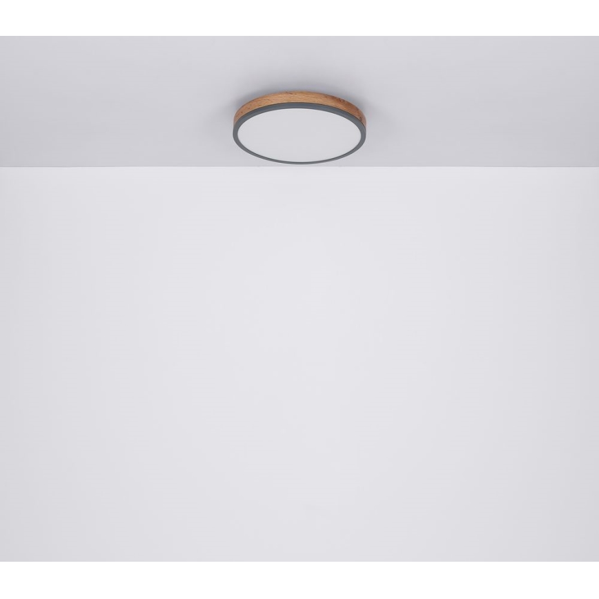 Globo - LED Ceiling light LED/12W/230V d. 30 cm