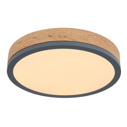 Globo - LED Ceiling light LED/12W/230V d. 30 cm