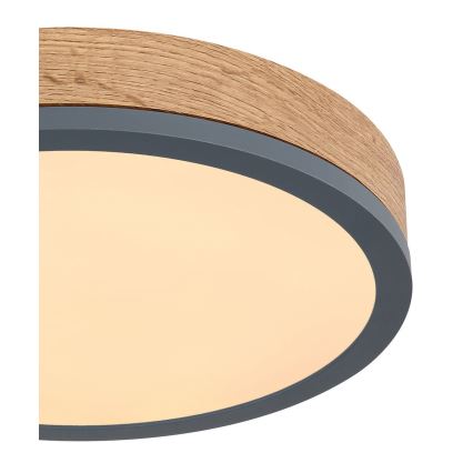 Globo - LED Ceiling light LED/12W/230V d. 30 cm