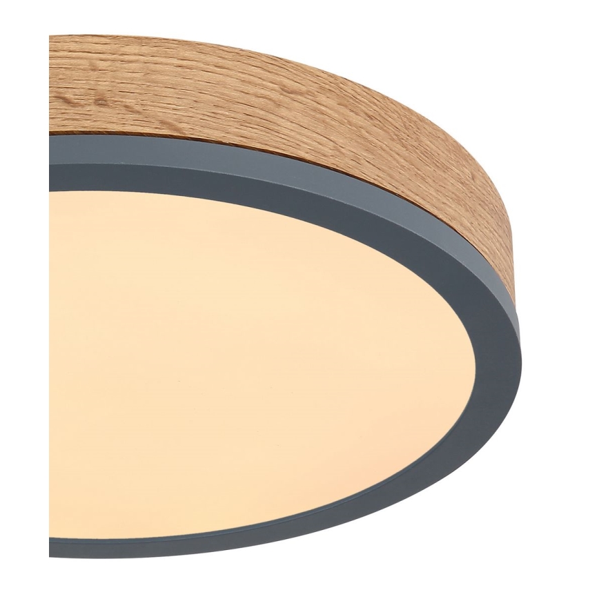Globo - LED Ceiling light LED/12W/230V d. 30 cm