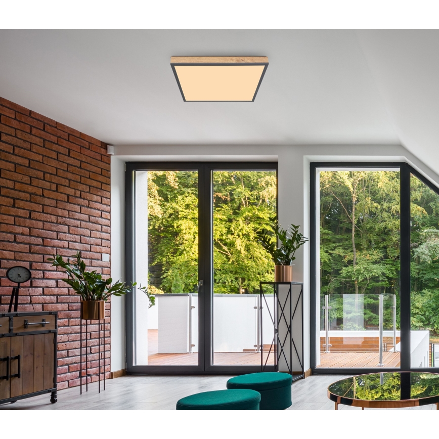 Globo - LED Ceiling light LED/24W/230V