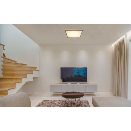 Globo - LED Ceiling light LED/24W/230V