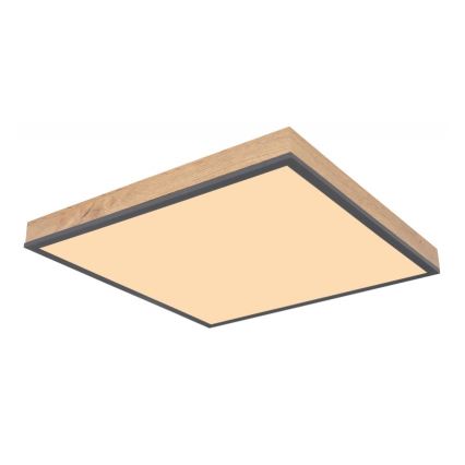 Globo - LED Ceiling light LED/24W/230V
