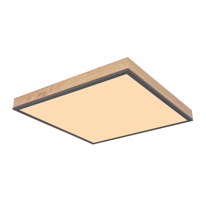 Globo - LED Ceiling light LED/24W/230V