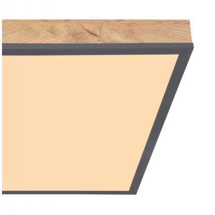 Globo - LED Ceiling light LED/24W/230V