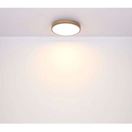 Globo - Dimmable LED Ceiling Light, 24W/230V, 2700-6500K, dia. 45 cm
