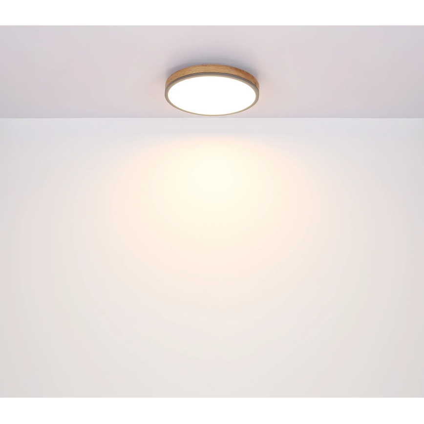 Globo - Dimmable LED Ceiling Light, 24W/230V, 2700-6500K, dia. 45 cm