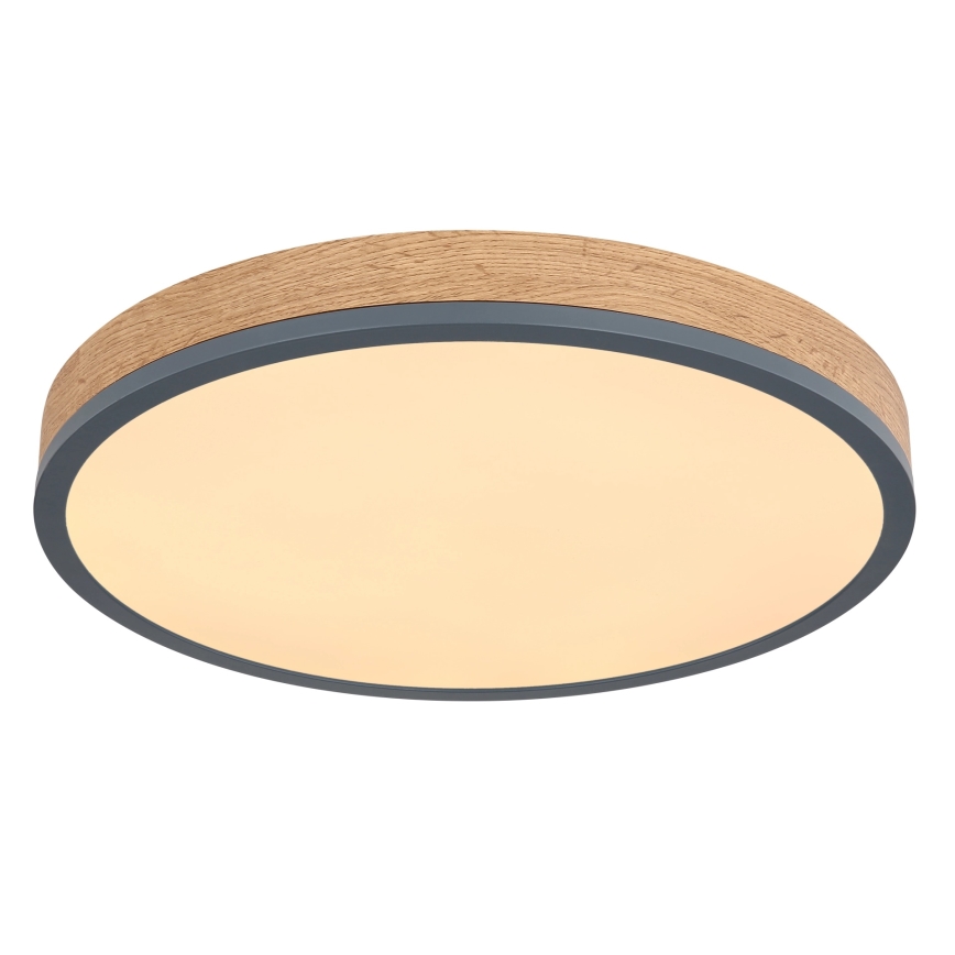 Globo - Dimmable LED Ceiling Light, 24W/230V, 2700-6500K, dia. 45 cm