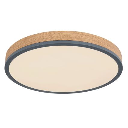 Globo - Dimmable LED Ceiling Light, 24W/230V, 2700-6500K, dia. 45 cm
