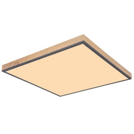 Globo - LED Ceiling light LED/36W/230V