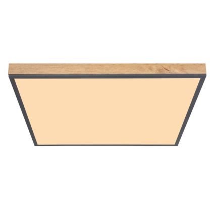 Globo - LED Ceiling light LED/36W/230V