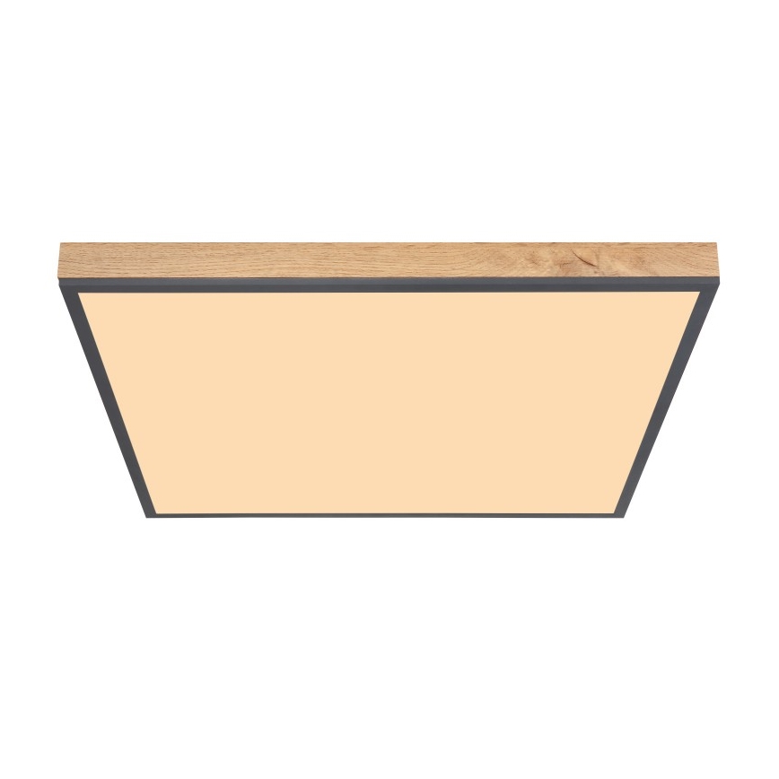 Globo - LED Ceiling light LED/36W/230V