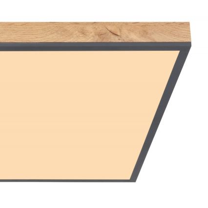 Globo - LED Ceiling light LED/36W/230V