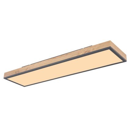 Globo - LED Dimmable ceiling light LED/24W/230V 2700-6500K + remote control