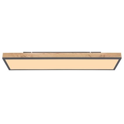 Globo - LED Ceiling light LED/24W/230V