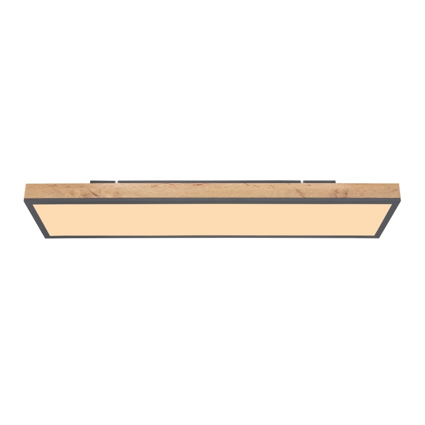 Globo - LED Ceiling light LED/24W/230V