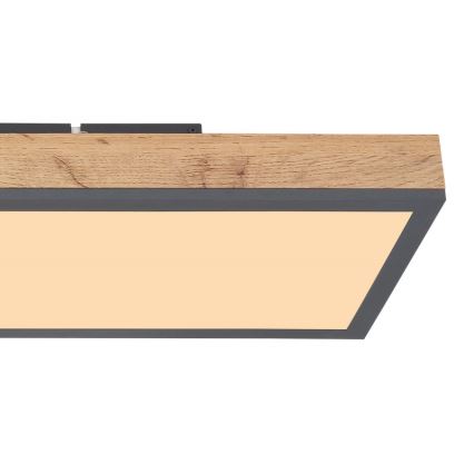 Globo - LED Ceiling light LED/24W/230V