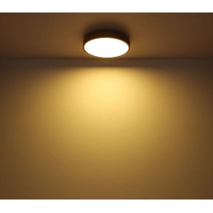 Globo - LED Dimmable ceiling light LED/40W/230V 2700-6500K d. 60 cm + remote control brown/grey