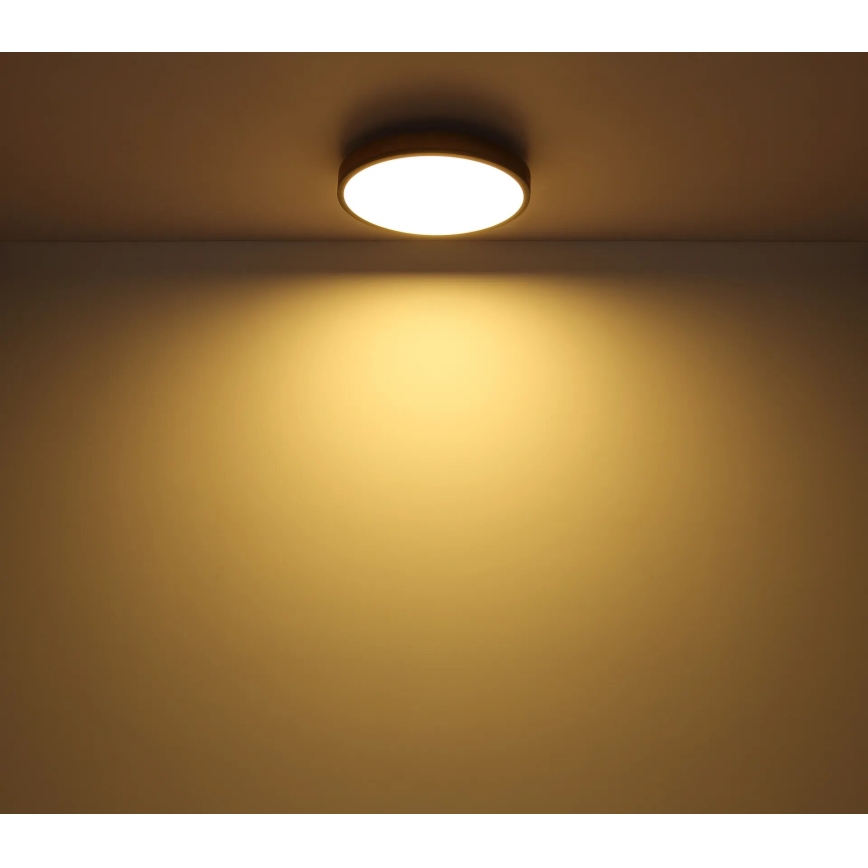 Globo - LED Dimmable ceiling light LED/40W/230V 2700-6500K d. 60 cm + remote control brown/grey