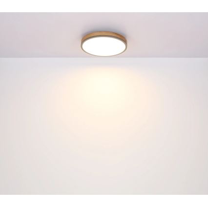 Globo - LED Dimmable ceiling light LED/40W/230V 2700-6500K d. 60 cm + remote control brown/grey
